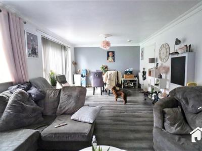 Picture 12